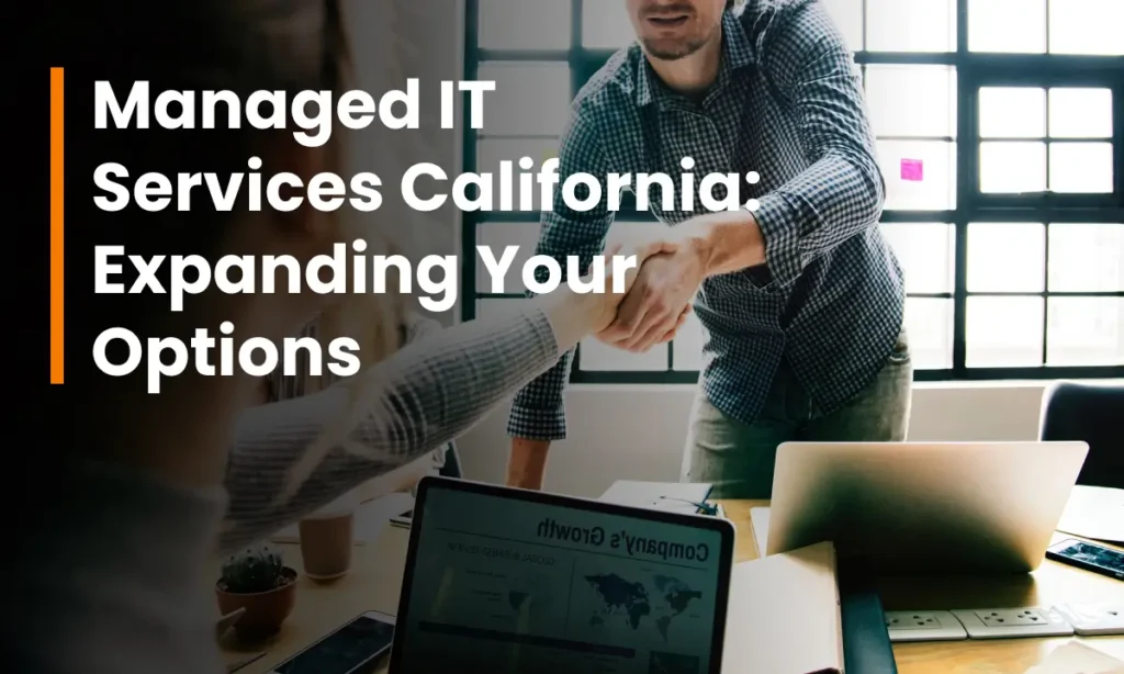 Managed IT Services California Expanding Your Options